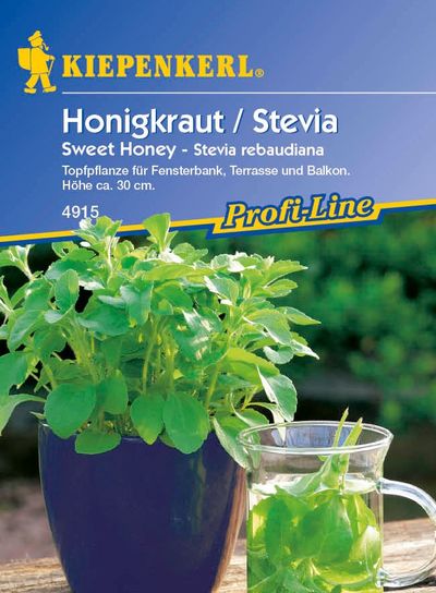 Honigkraut (Stevia) Sweet Honey von TOM-GARTEN auf blumen.de