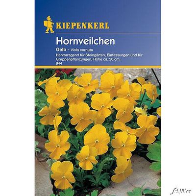 Hornveilchen ´Gelb´ von Garten Schlüter auf blumen.de