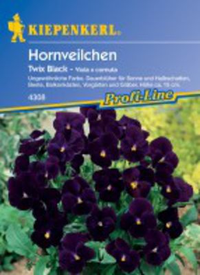 Hornveilchen Twix Black von Olerum.de auf blumen.de