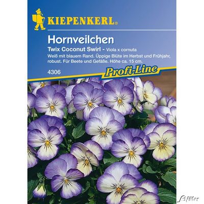 Hornveilchen ´Twix Coconut Swirl´ von Garten Schlüter auf blumen.de