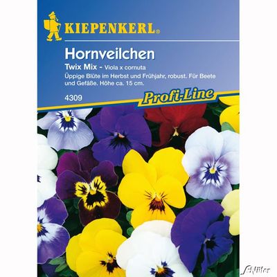 Hornveilchen ´Twix Mix´ von Garten Schlüter auf blumen.de