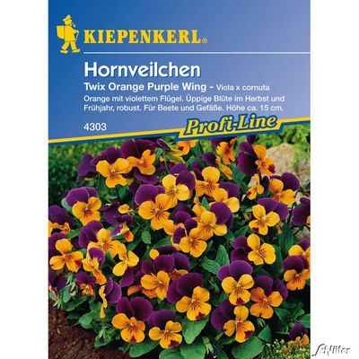 Hornveilchen ´Twix Orange Purple Wing´ von Garten Schlüter auf blumen.de