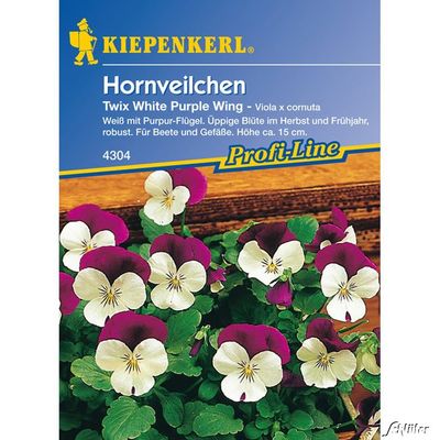 Hornveilchen ´Twix White Purple Wing´ von Garten Schlüter auf blumen.de