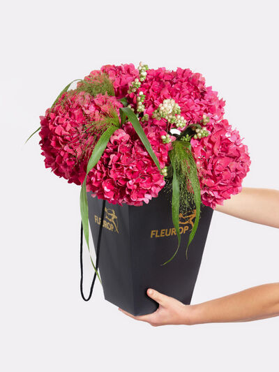 Hortensien von Fleurop auf blumen.de