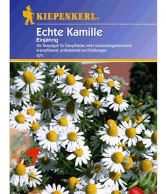 Echte Kamille von BALDUR-Garten auf blumen.de