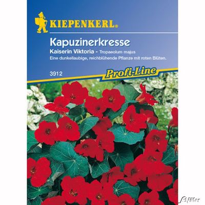 Kapuzinerkresse ´Kaiserin Viktoria´ von Garten Schlüter auf blumen.de