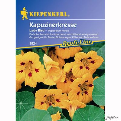 Kapuzinerkresse ´Lady Bird´ von Garten Schlüter auf blumen.de