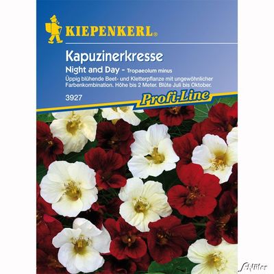 Kapuzinerkresse ´Night & Day´ von Garten Schlüter auf blumen.de