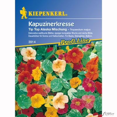 Kapuzinerkresse ´Tip-Top Alaska-Mischung´ von Garten Schlüter auf blumen.de