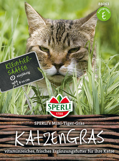 Katzengras Mini-Tiger-Gras von TOM-GARTEN auf blumen.de