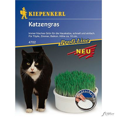Katzengras - Saatscheiben von Garten Schlüter auf blumen.de