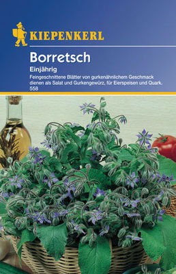 Kiepenkerl Borretsch von PflanzenFee auf blumen.de