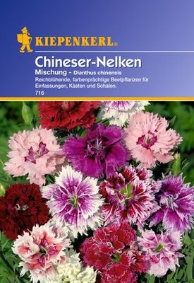 Kiepenkerl Chineser-Nelken-Mischung von PflanzenFee auf blumen.de