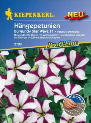 Kiepenkerl Hängepetunien  von GartenXXL auf blumen.de