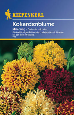 Kiepenkerl Kokardenblume-Mischung von PflanzenFee auf blumen.de