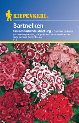 Kiepenkerl Nelken, einfach blühende Mischung von PflanzenFee auf blumen.de