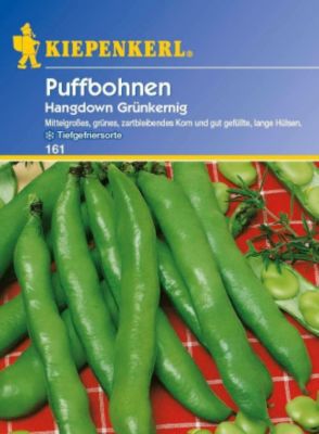 Kiepenkerl Puffbohnen von GartenXXL auf blumen.de