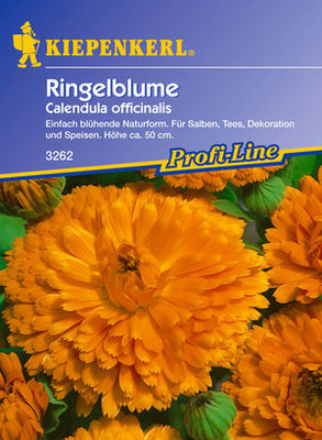 Kiepenkerl Ringelblume von PflanzenFee auf blumen.de