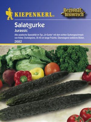 Kiepenkerl Salatgurken - Jurassic' von PflanzenFee auf blumen.de
