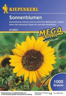 Kiepenkerl Sonnenblumen 1 Kg von GartenXXL auf blumen.de