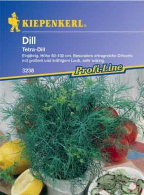 Kiepenkerl Tetra-Dill  von GartenXXL auf blumen.de