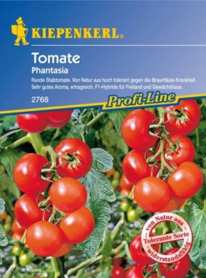 Kiepenkerl Tomaten Phantasia F1 von GartenXXL auf blumen.de