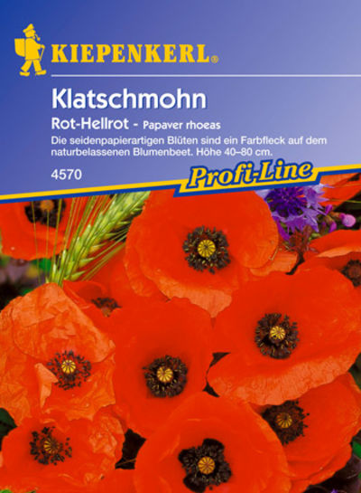 Klatschmohn  von Pflanzenwelt Biermann auf blumen.de