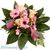 Kleine Prinzessin-Blumen zur Geburt von Blumenfee auf blumen.de