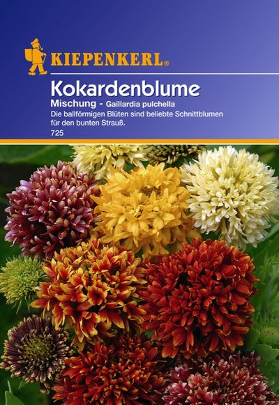Kokardenblume Gaillardia Mischung von TOM-GARTEN auf blumen.de