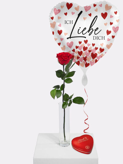 Konservierte Rose von Fleurop auf blumen.de