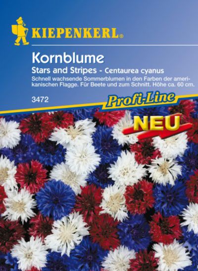 Kornblume Stars and Stripes von Olerum.de auf blumen.de