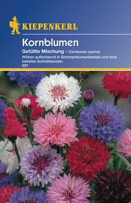 Kiepenkerl Kornblumen 