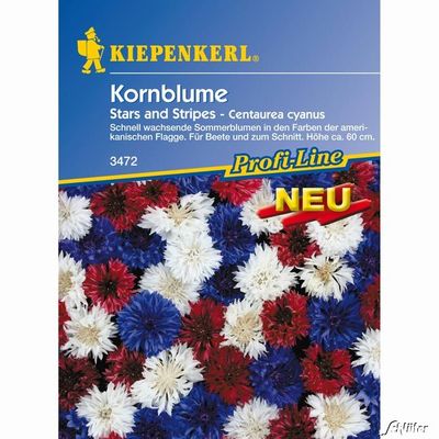 Kornblumen ´Stars and Stripes´ von Garten Schlüter auf blumen.de