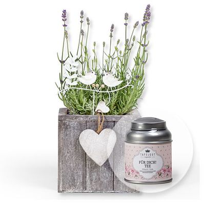 Lavendel im Holztopf  von Valentins auf blumen.de
