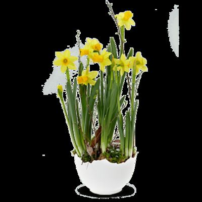 Liebe Ostergrüße von Fleurop auf blumen.de