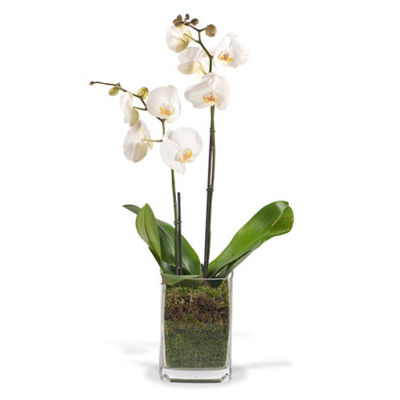 Lieben Dank  von Fleurop auf blumen.de