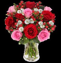 Liebeszauber von Blume Ideal auf blumen.de