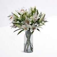 Lilien in Weiß  von Blume2000.de auf blumen.de