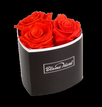 Lovebox von Blume Ideal auf blumen.de