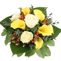 Magie der Träume von Blumenfee auf blumen.de