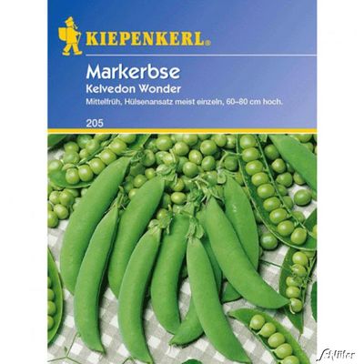 Markerbse ´Kelvedon Wonder´ von Garten Schlüter auf blumen.de