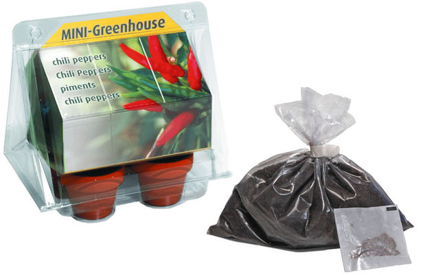 Mini Treibhaus Chilipaprika von Gartencenter Koeman auf blumen.de