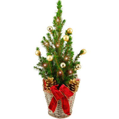 Mini-Weihnachtsbaum Frohes Fest (Höhe: ca. 40 cm) von Bluvesa auf blumen.de