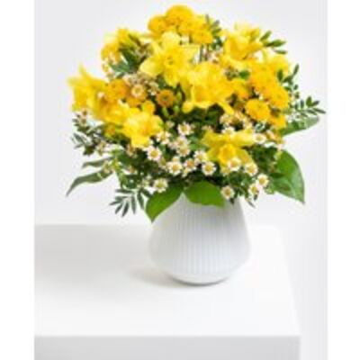 Narzissen und Freesien von Fleurop auf blumen.de