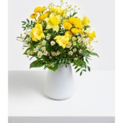 Narzissen und Kamille von Fleurop auf blumen.de