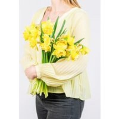 Narzissen von Fleurop auf blumen.de