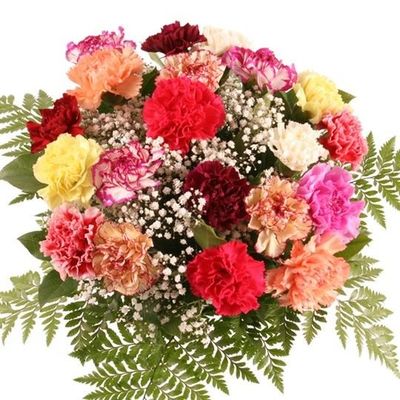 Nelken mit Mengenrabatt  von Blumenfee auf blumen.de