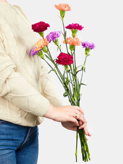 Nelkenmix von Fleurop auf blumen.de