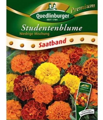 ´Niedrige Studentenblume´  von BALDUR-Garten auf blumen.de