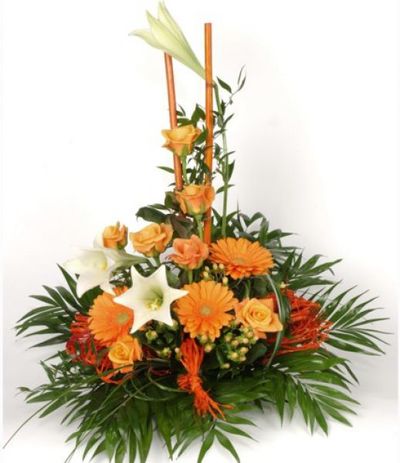 Orange County von Florito FlowerPost auf blumen.de